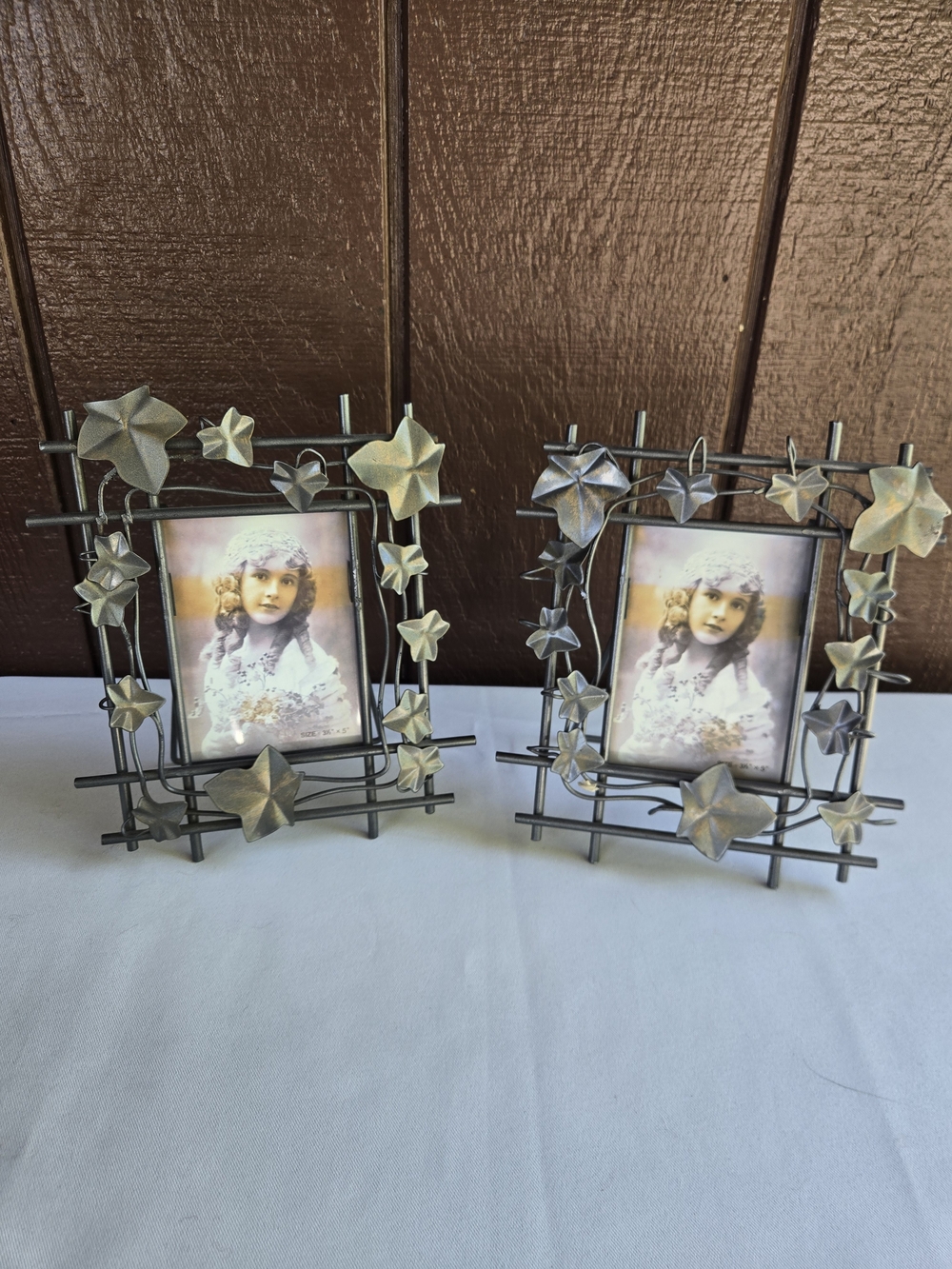 Decorative Metal Photo Frame with Ivy Accents - Set of 2